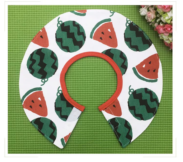 Fruits Bandana Bib