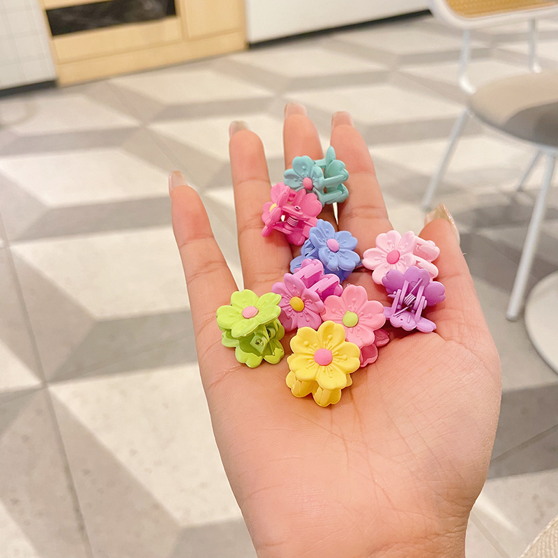 Flower Claw clip set
